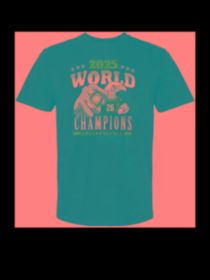 2025 American Football, Olive Fan Sports Shirt, Eagle Championship T-Shirt (Color: Black, size: L)